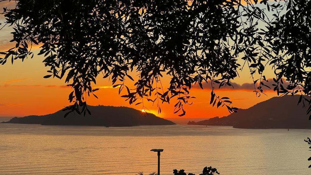 B&B Camera Bellavista Lerici Eksteriør billede